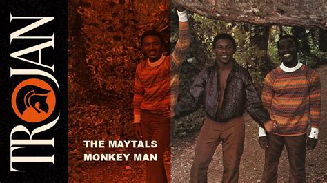 monkey man song toots